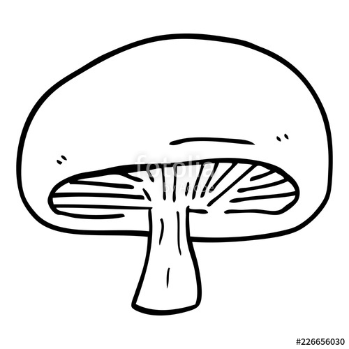 500x500 Line Drawing Cartoon Chestnut Mushroom Stock Image And Royalty