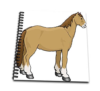 425x386 tdswhite horse equine illustrations