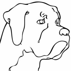 250x250 Cat Drawing Easy Cute Chibi Girl Anime Boy Dog And Steps Carmi