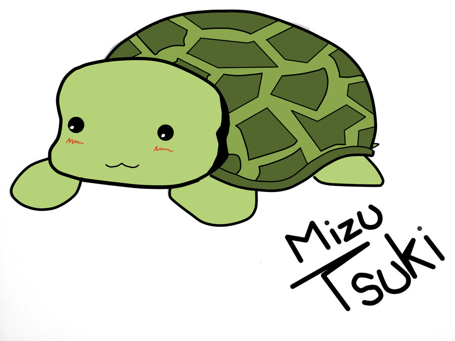 900x675 Chibi Turtle Drawing