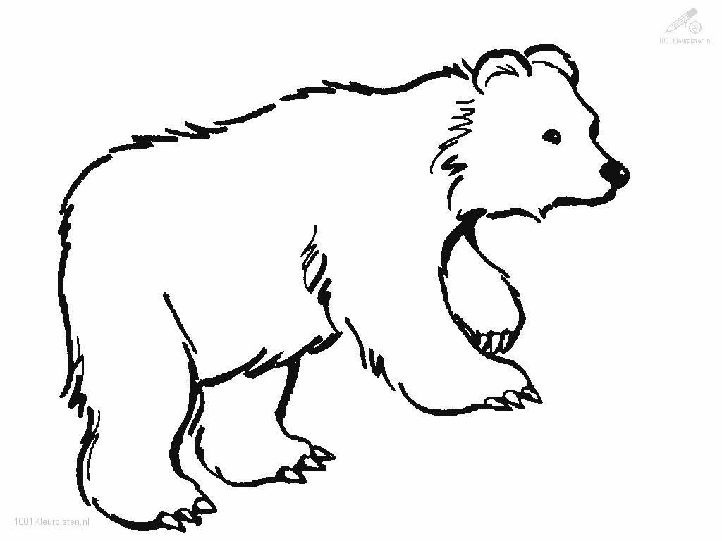1024x768 Chicago Bears Coloring Pages