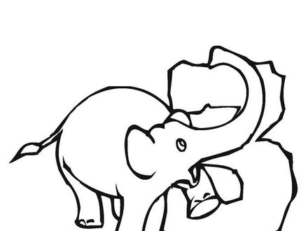 440x330 Chicago Bulls Drawings