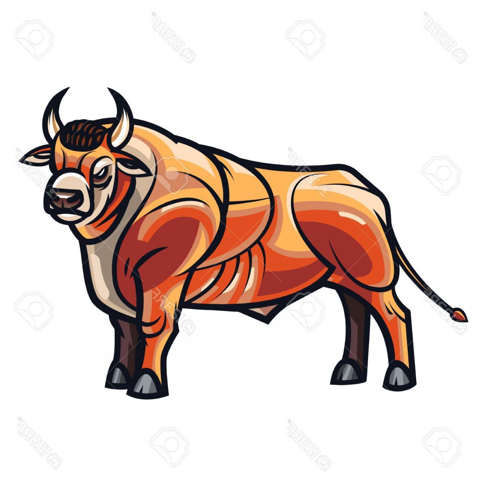 1560x1560 Chicago Bulls Vector Graphics Sohadacouri