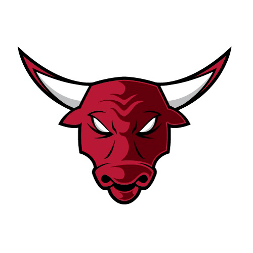500x500 Logo Chicago Bulls Cool Drawing