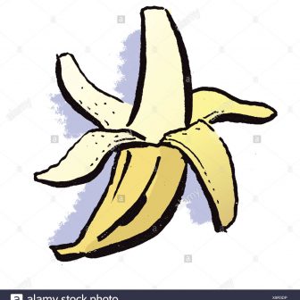 336x336 Banana Tree Drawing Black And White Chicago Clipart Sikhna Easy