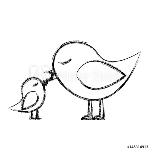 500x500 Monochrome Sketch Of Bird Feeding A Chick Vector Illustration