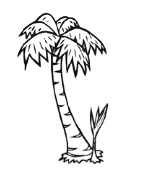 323x350 chicka chicka boom boom