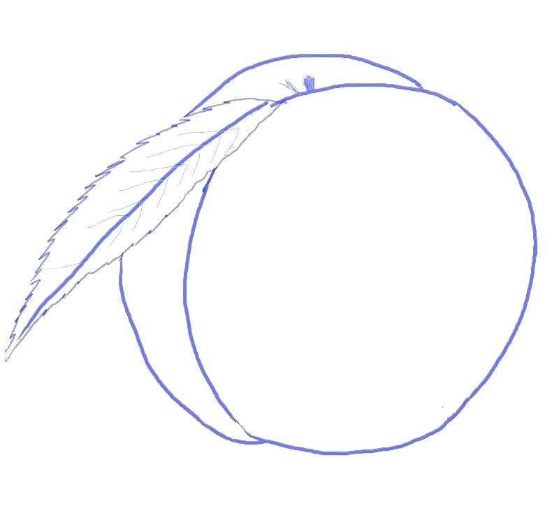 800x724 how to draw a peach draw peach princess
