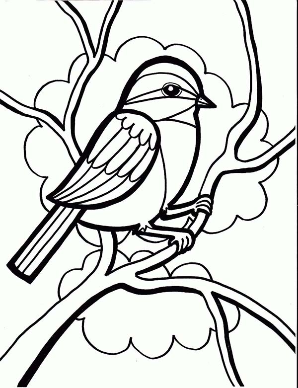 600x781 Chickadee Drawing Coloring Page