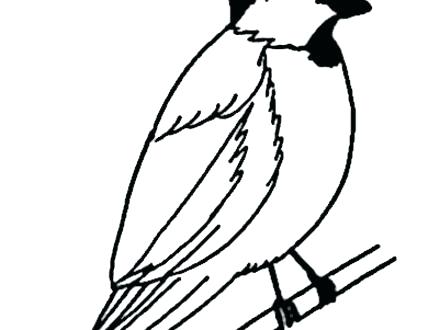440x330 Chickadee Drawing Coloring