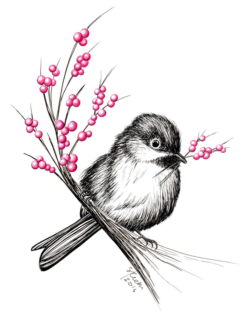 794x1032 Chickadee With Berries Original Pen Ink Illustration Etsy