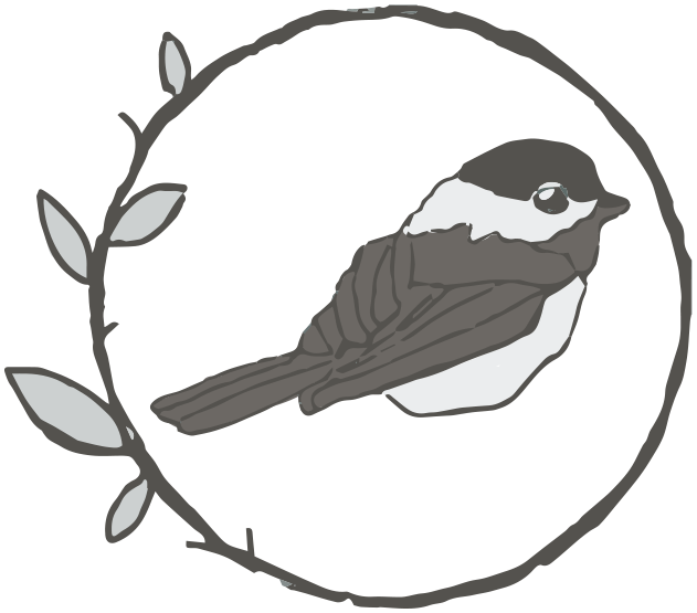 631x555 Collection Of Free Chickadee Drawing Cool Download On Ui Ex