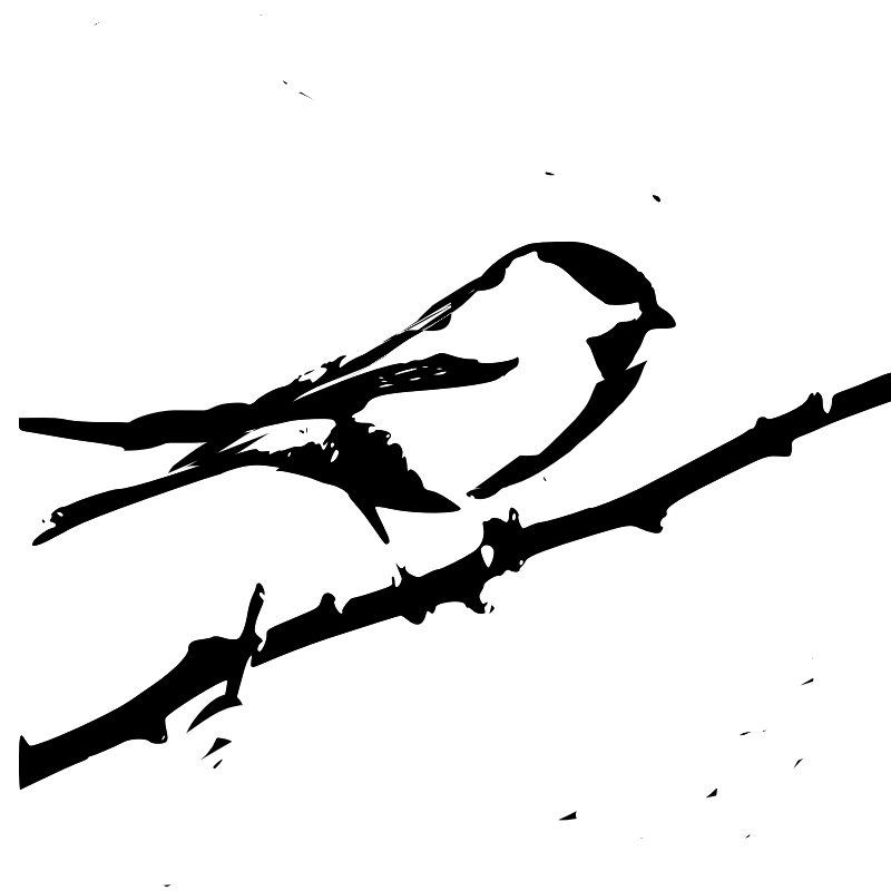 800x800 Drawing, Bird, Tree, Transparent Png Image Clipart Free Download