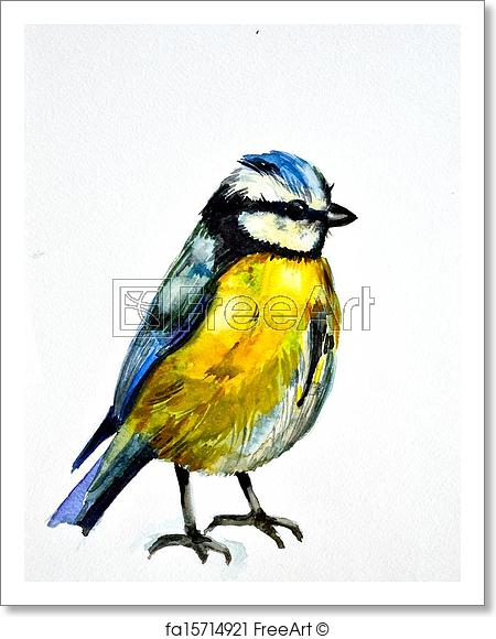 450x580 free art print of watercolor drawing of cute bird freeart