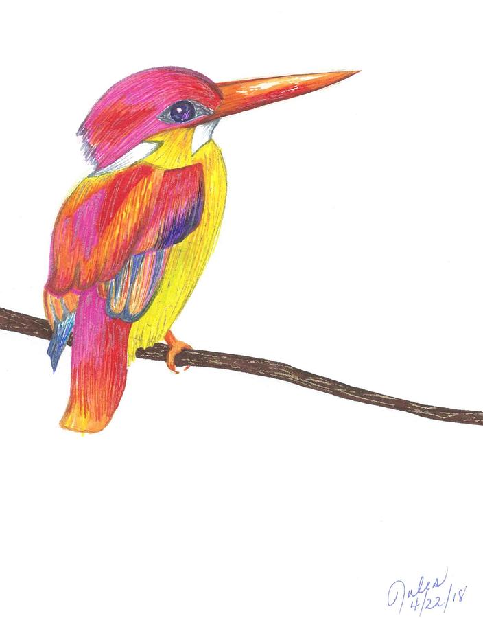 704x900 Rainbow Chickadee Drawing