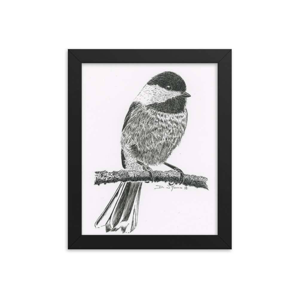 1000x1000 Taking A Break Black Capped Chickadee Framed Print