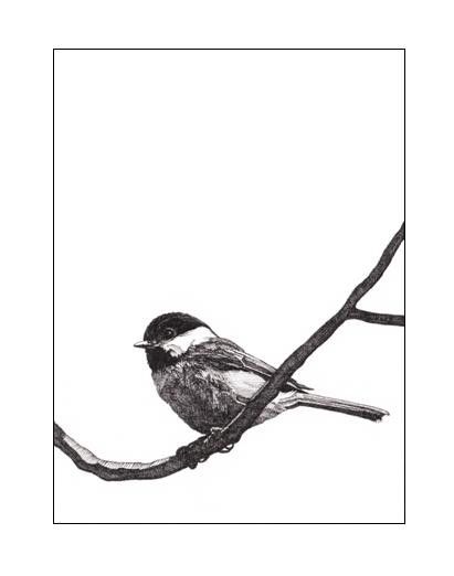 411x522 pen and ink chickadee note cards for the home in ink pen