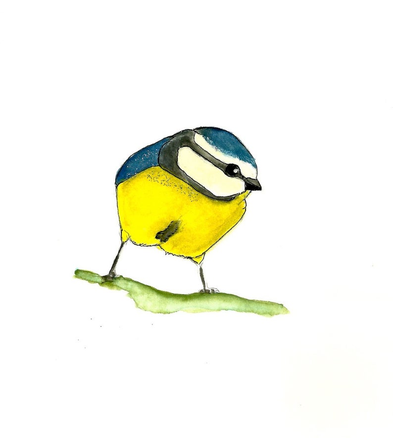 794x885 Beautiful Backyard Yellow And Blue Bird Lover Chickadee Etsy