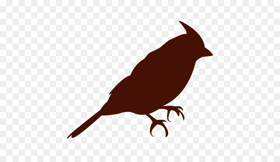 900x520 Bird, Silhouette, Drawing, Transparent Png Image Clipart Free