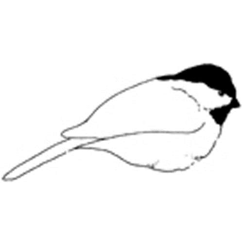 Chickadee Line Drawing | Free download on ClipArtMag