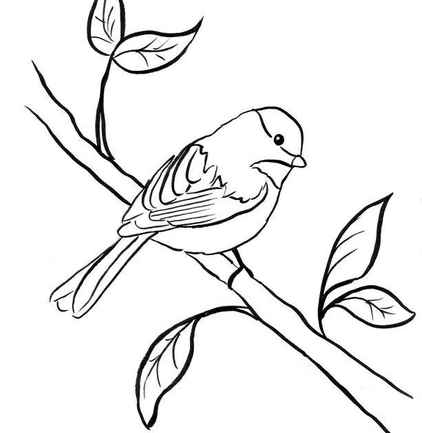 Chickadee Line Drawing | Free download on ClipArtMag