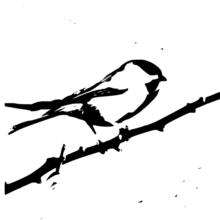 750x750 Chickadee Vector Mayflower Transparent Png Clipart Free Download