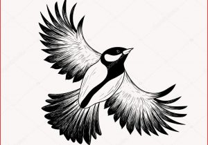 300x210 flying bird drawing how to identify birds in flight