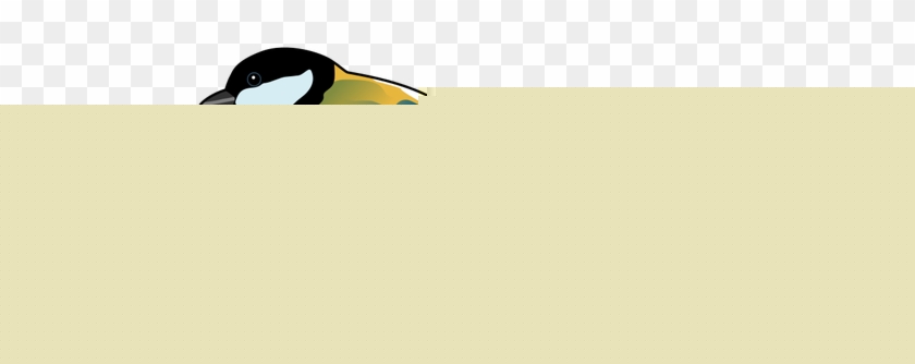 840x334 Great Tit Bird Drawing