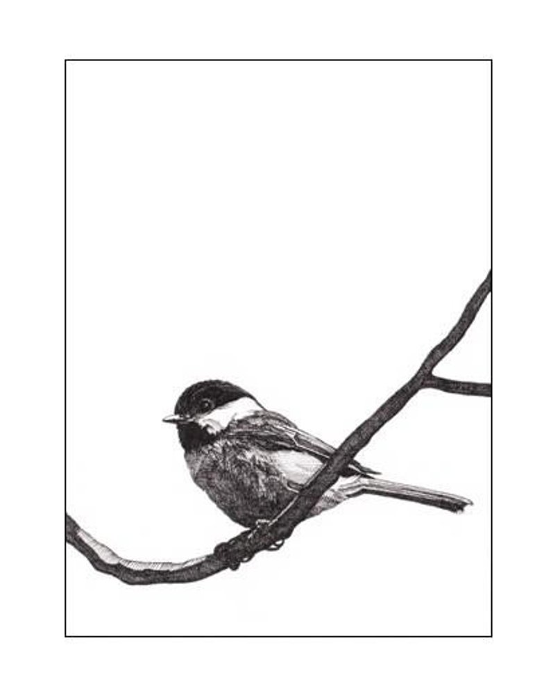 794x1008 pen and ink drawing reproduction black capped chickadee note etsy