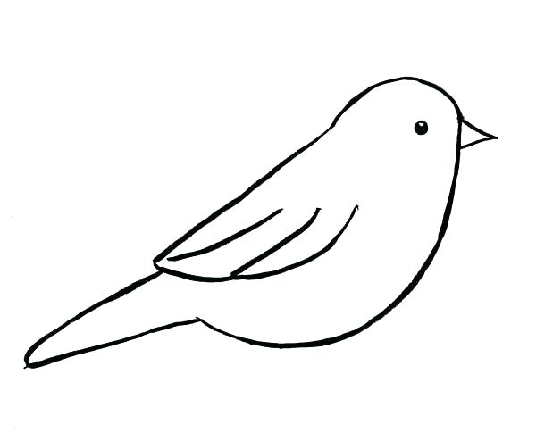 Chickadee Line Drawing | Free download on ClipArtMag