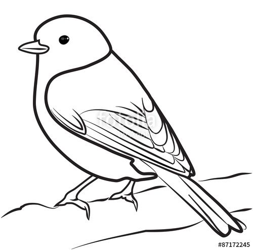 500x493 Bird Outline How To Draw A Chickadee Google Search