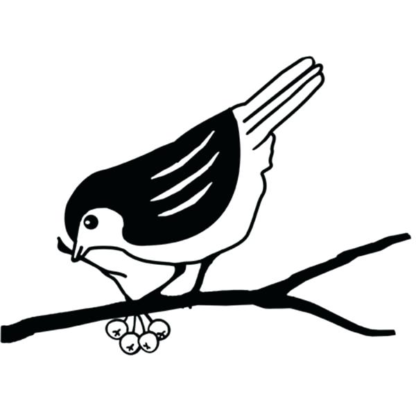 600x600 Black Capped Chickadee Coloring