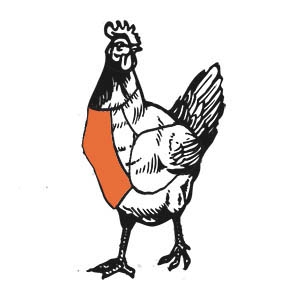 300x308 Chicken Breast Turner George