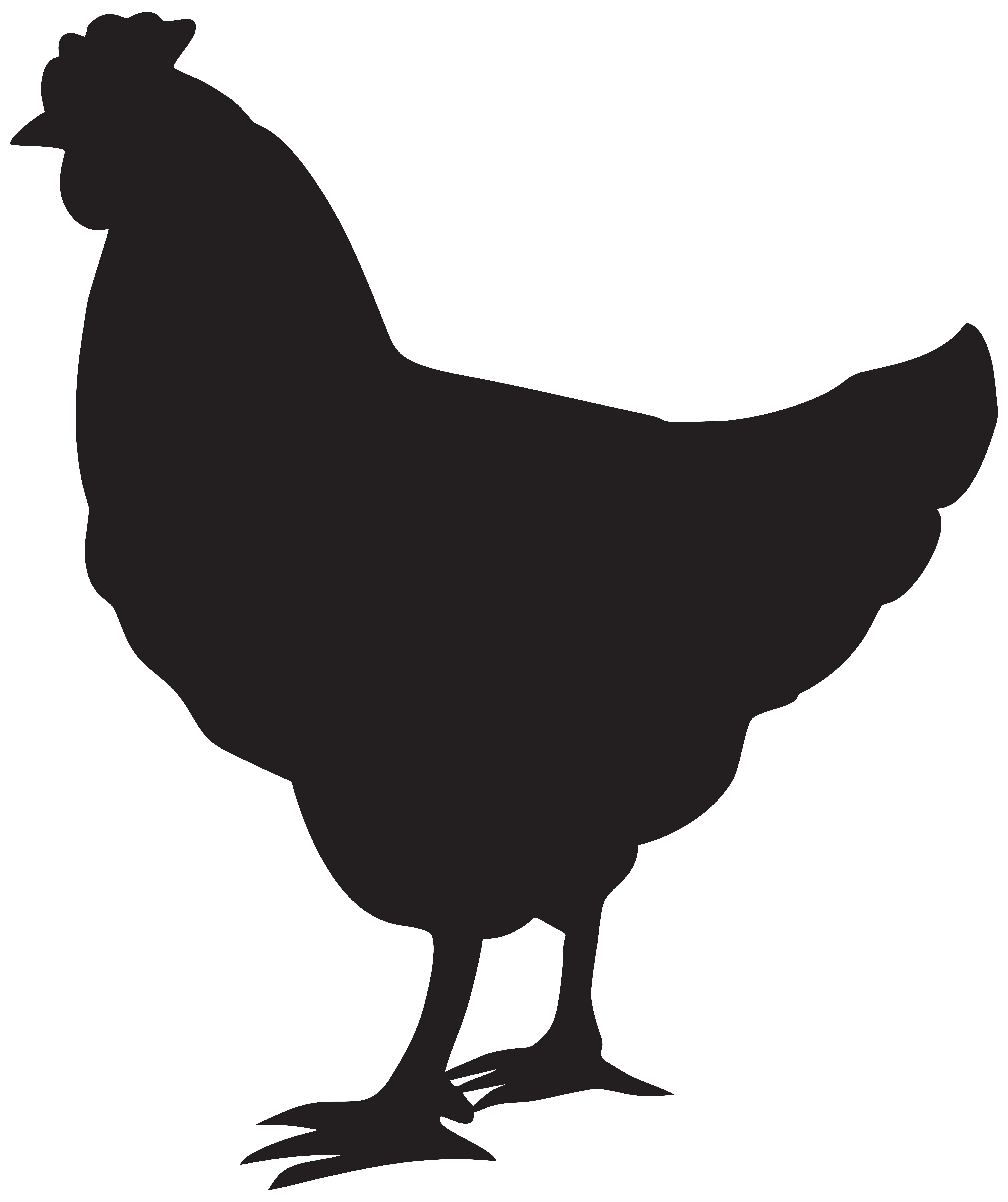 6709x8000 Collection Of Free Chicken Drawing Profile Download On Ui Ex