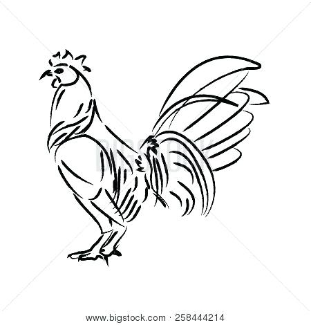 450x470 How To Draw A Cute Chicken Drawing Animals Draw So Cute Chicken