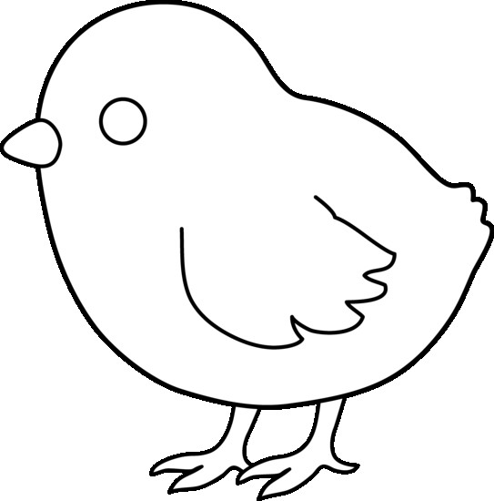 543x550 Chick Drawing Clipart Chicken Clipart Black And White
