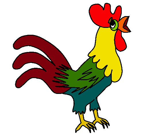 505x470 Chicken, Drawing, Rooster, Transparent Png Image Clipart Free