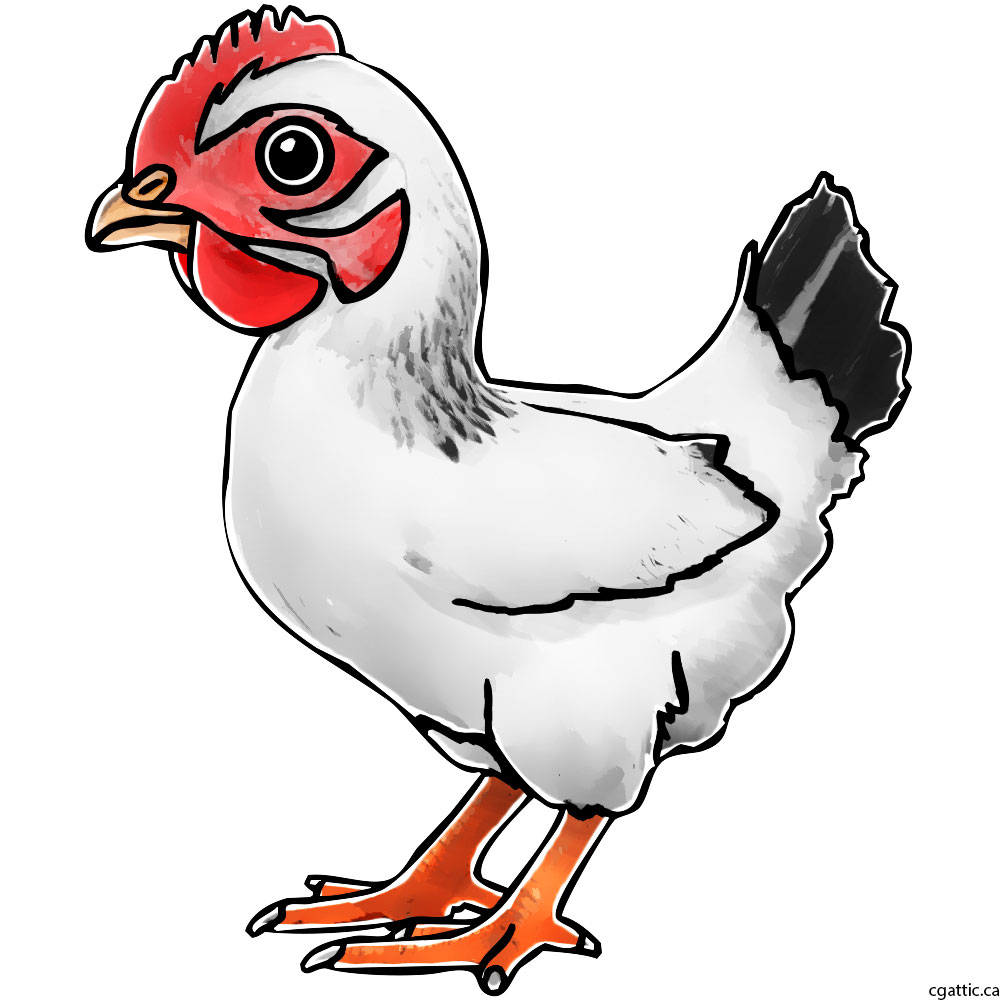 1000x1000 Chicken Cartoon Drawing In Steps With Photoshop