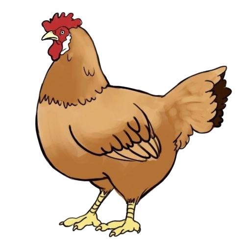 500x500 Chicken Drawing Original Retro Cartoon Chicken Drawing Symbol