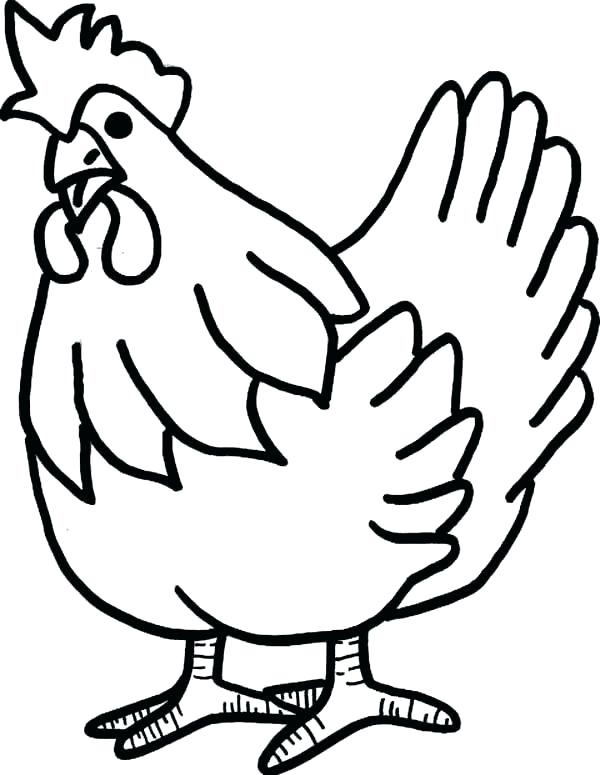 600x775 Draw Chicken Draw Chickens Draw Cartoon Chicken Step Step Zupa