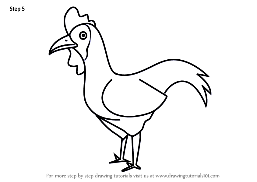 844x598 Learn How To Draw A Cartoon Chicken
