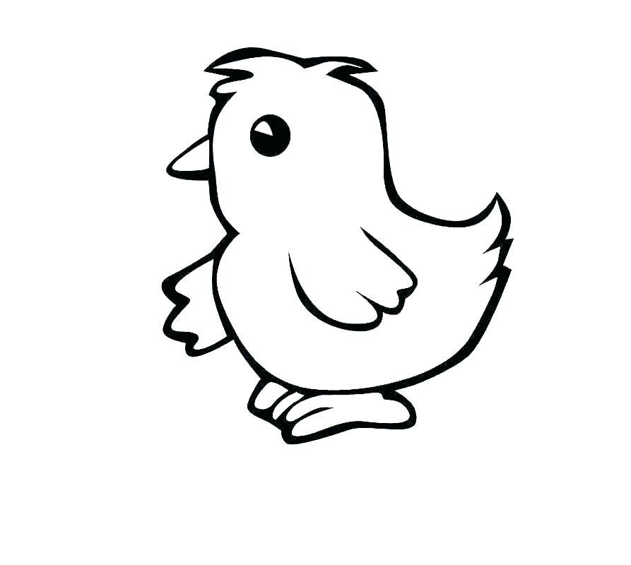 893x800 Chicken Printable Coloring Pages Chickens Chicken