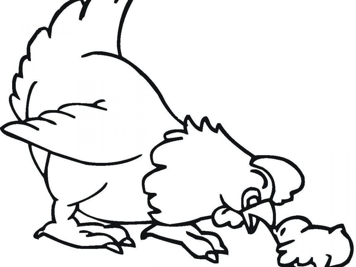 1152x864 Cute Chicken Drawing Coloring Pages