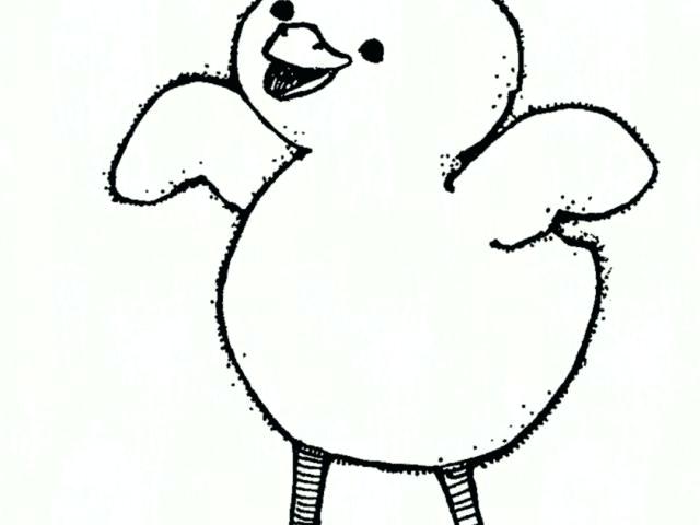 640x480 Easy Chicken Drawing Running