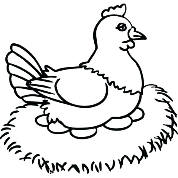 600x600 How To Draw Chickens