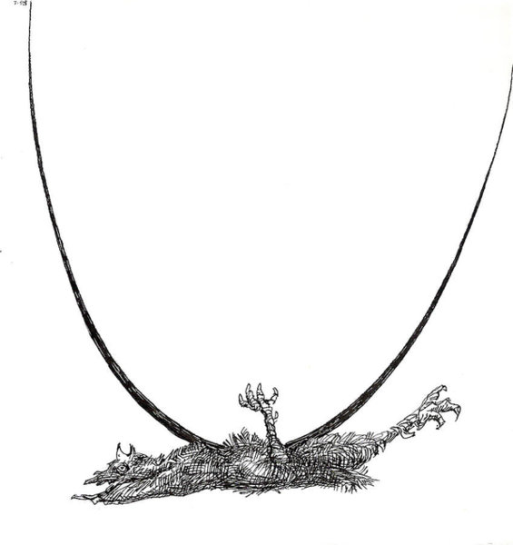 565x600 Chicken Eggs Drawings Fine Art America