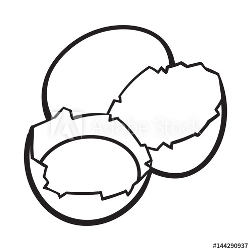500x500 whole and cracked, broken chicken egg with yolk inside, sketch