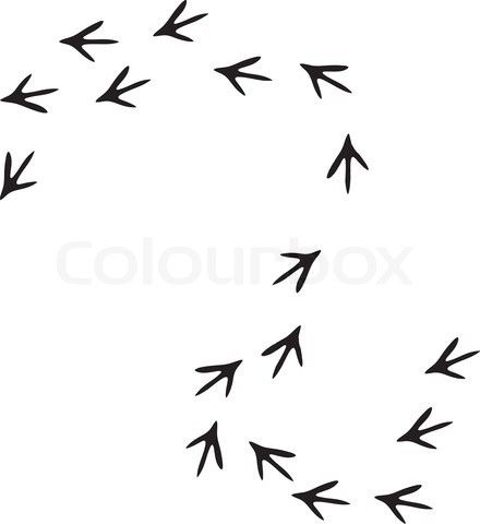 440x480 Chicken Footprints Tattoo Chicken Tattoo, Hen Tattoo