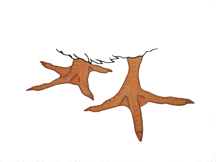 736x552 Colin Clerkin