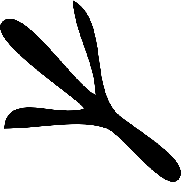 594x598 Drawing Chicken Foot Frames Illustrations Hd Images Photo